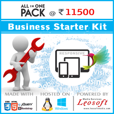 website-pack11500
